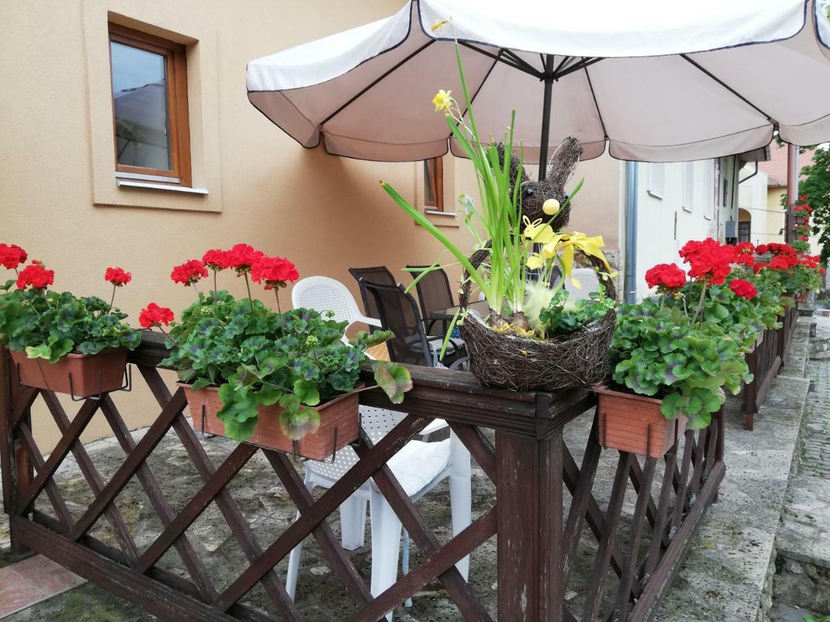 Olze Panzio Bed and Breakfast Erdőbénye Εξωτερικό φωτογραφία