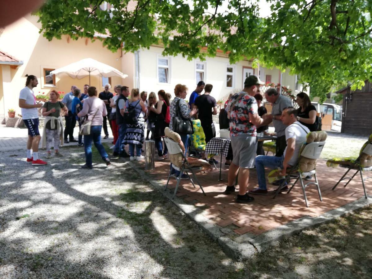Olze Panzio Bed and Breakfast Erdőbénye Εξωτερικό φωτογραφία
